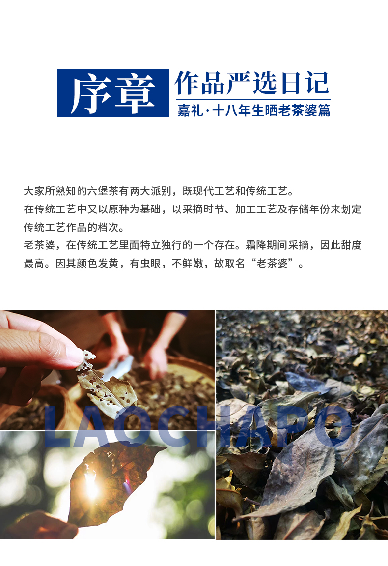 老茶婆详情_01.png