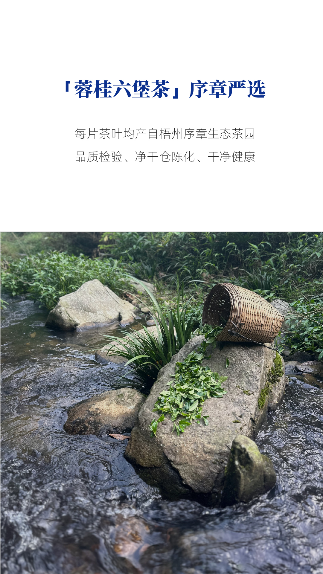 蓉桂六堡推拉盒_画板 1 副本 3.jpg